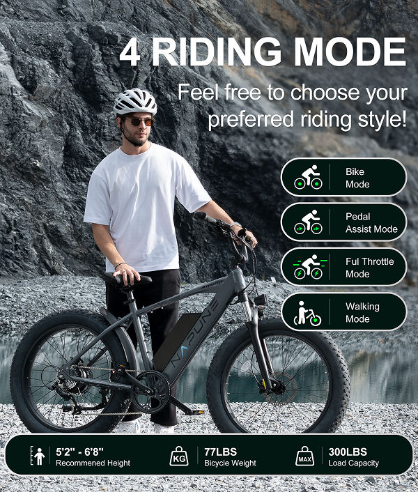 Aquila 26"x4 Fat Tire Ebikes