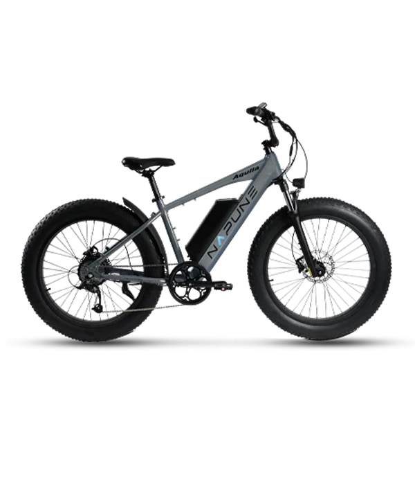 Aquila 26"x4 Fat Tire Ebikes