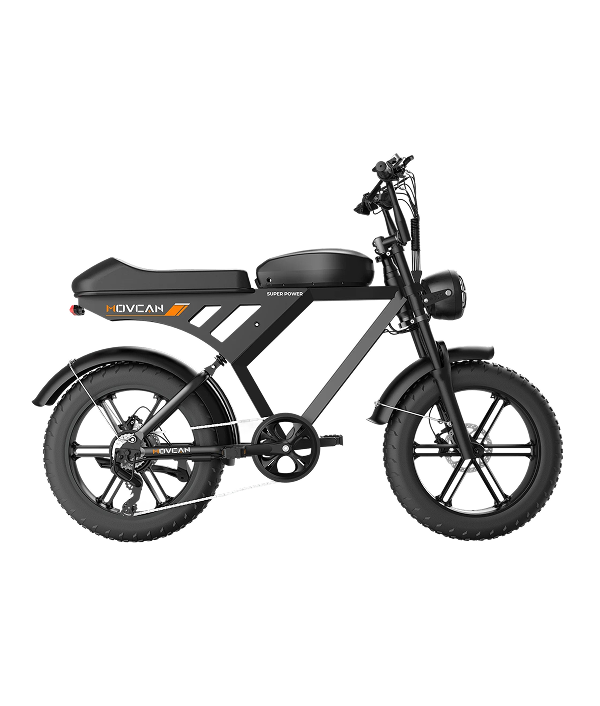 V30 20“x4.0 Electric Bike