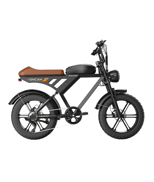 V30 20“x4.0 Electric Bike