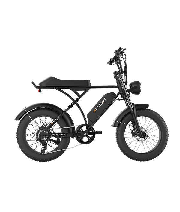 V60 Pro 20“x4.0 Electric Bike