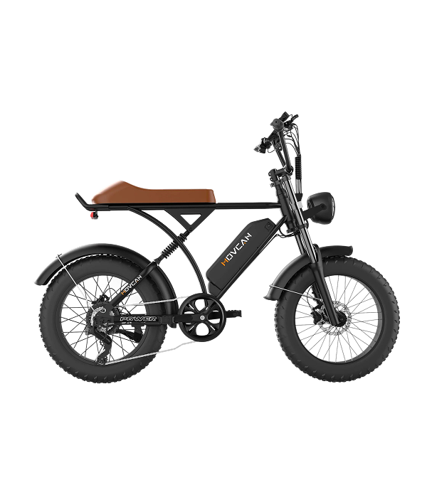 V60 Pro 20“x4.0 Electric Bike