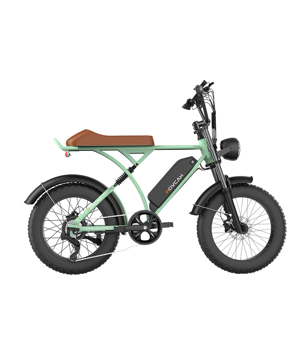 V60 Pro 20“x4.0 Electric Bike