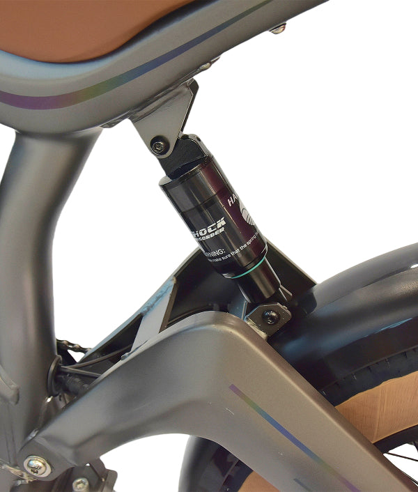 M20 20"x4 Electric Road Bike
