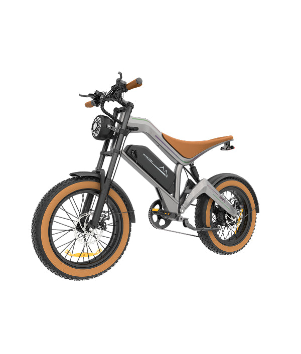 M20 20"x4 Electric Road Bike