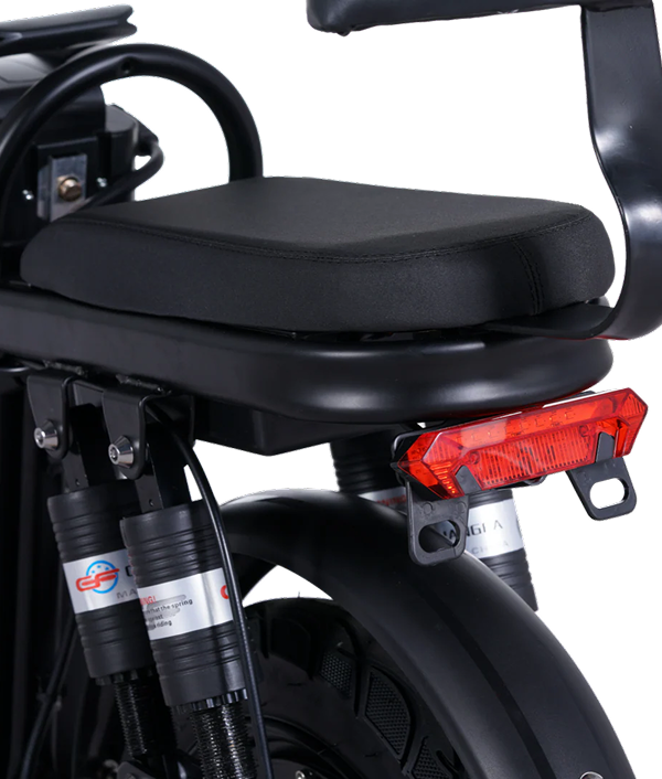 A9 14" Folding Ebikes