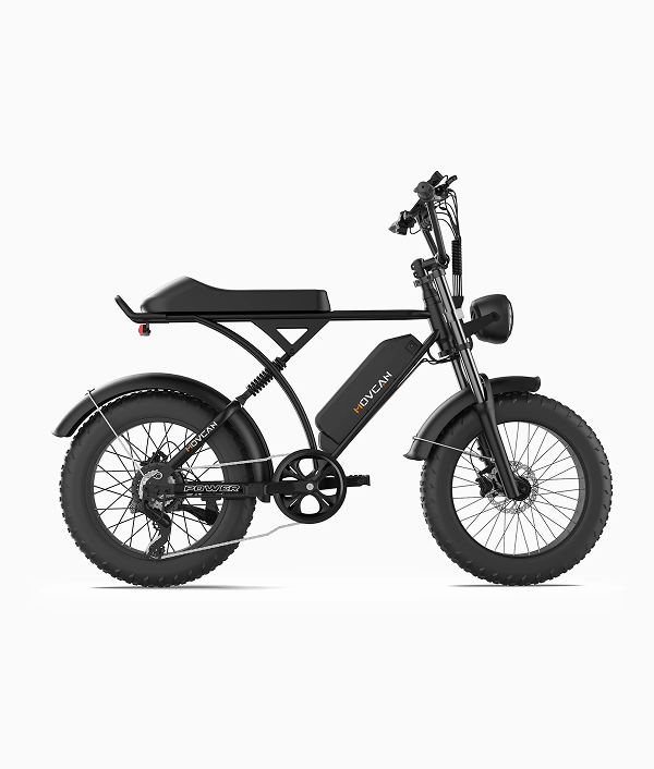 V60 20"x4.0 Electric Bike