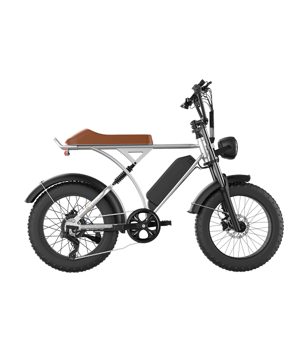 V60 20"x4.0 Electric Bike