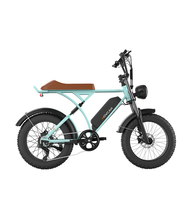 V60 20"x4.0 Electric Bike