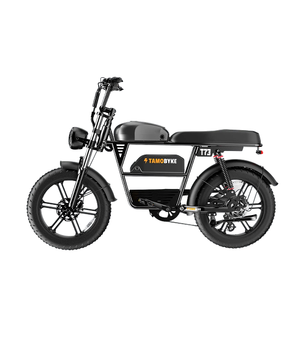 T73 Max 20"x4.0 Electric Bike