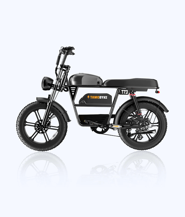 T73 Max 20"x4.0 Electric Bike
