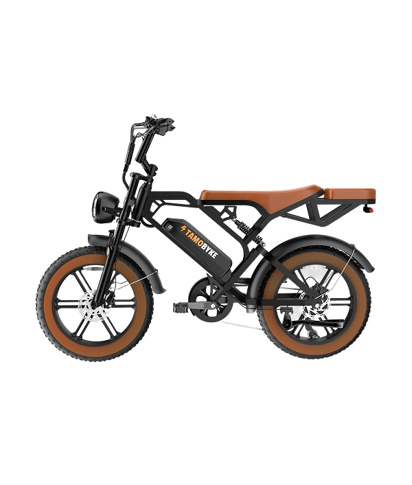 V20 PRO 20"x4.0 Fat Tire Ebikes