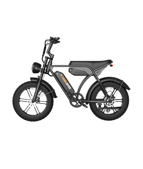 V29 Pro 20"x4.0 Electric Bike