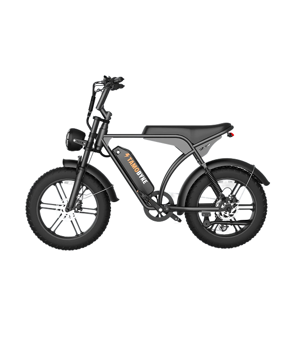 V29 20"x4.0 Electric Bike