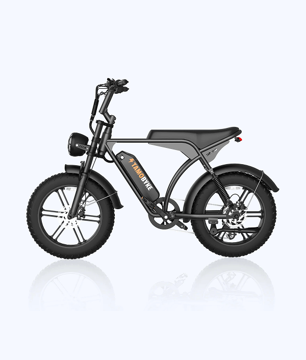 V29 20"x4.0 Electric Bike